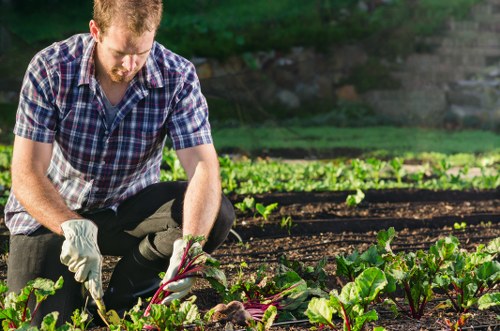 Gardening team preparing an outdoor service agreement