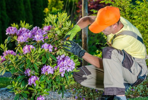 Maryland landscape garden with native plants and layered design