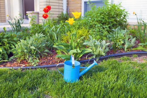 Colorful Maryland garden featuring shrubs, perennials, and trees