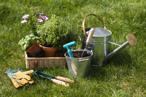 Winter garden maintenance in Maryland protecting shrubs from cold weather