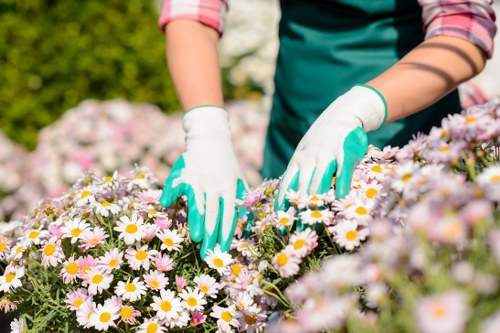 Low-carbon van supporting eco-friendly garden services
