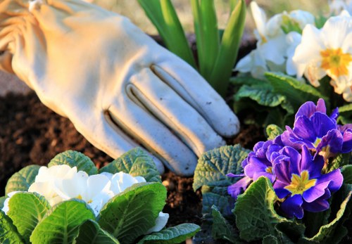 Maryland garden service using safety procedures and PPE