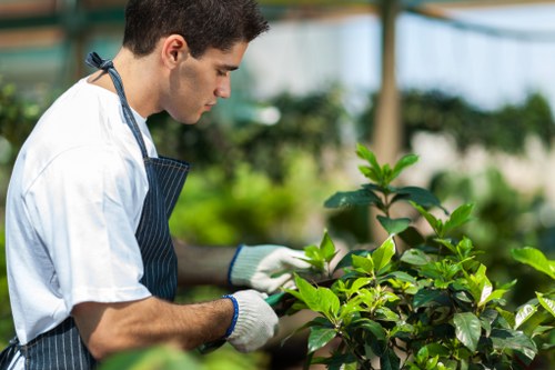 Analytics and performance monitoring on Gardeners Maryland site