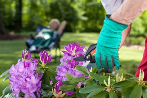 Tree removal cleanup work in Maryland