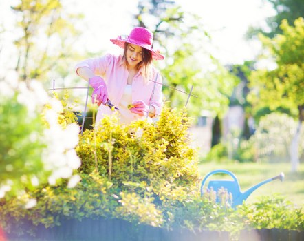 Notice about cancellation terms for gardening services