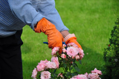 Carefully maintained garden beds in Maryland