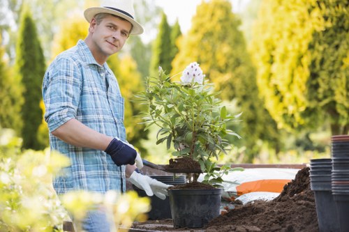 Native plant garden suited for Maryland climate conditions