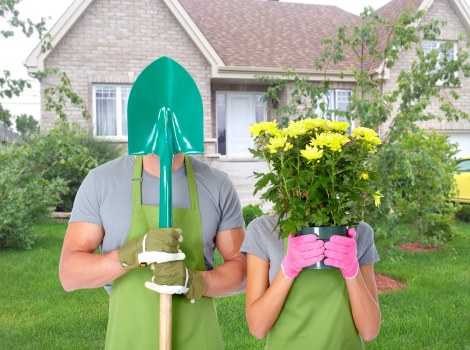 Overgrown yard cleanup in Maryland before landscaping