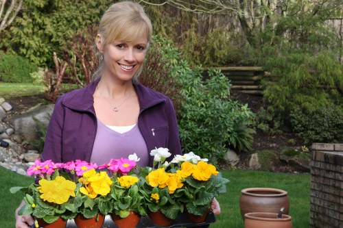 Internal review of a gardener service concern
