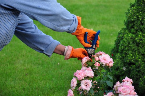 Sustainable waste handling for Maryland garden projects