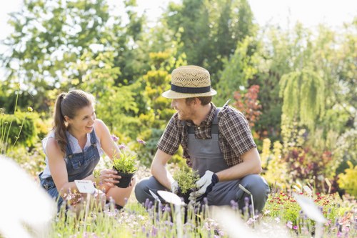 Seasonal landscape gardening in Maryland with evergreens and flowers